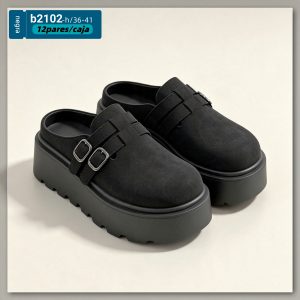 b2102-h 36-41