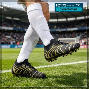 f2172-1 36-41